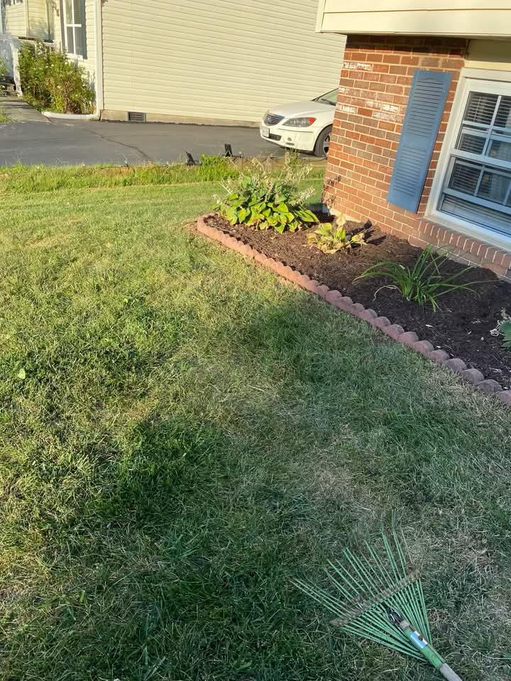 Tree and Shrub Planting