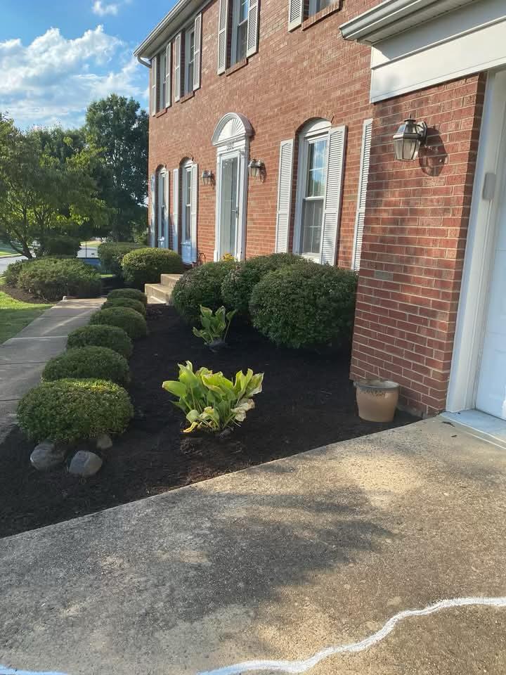 Henriquez Landscaping project