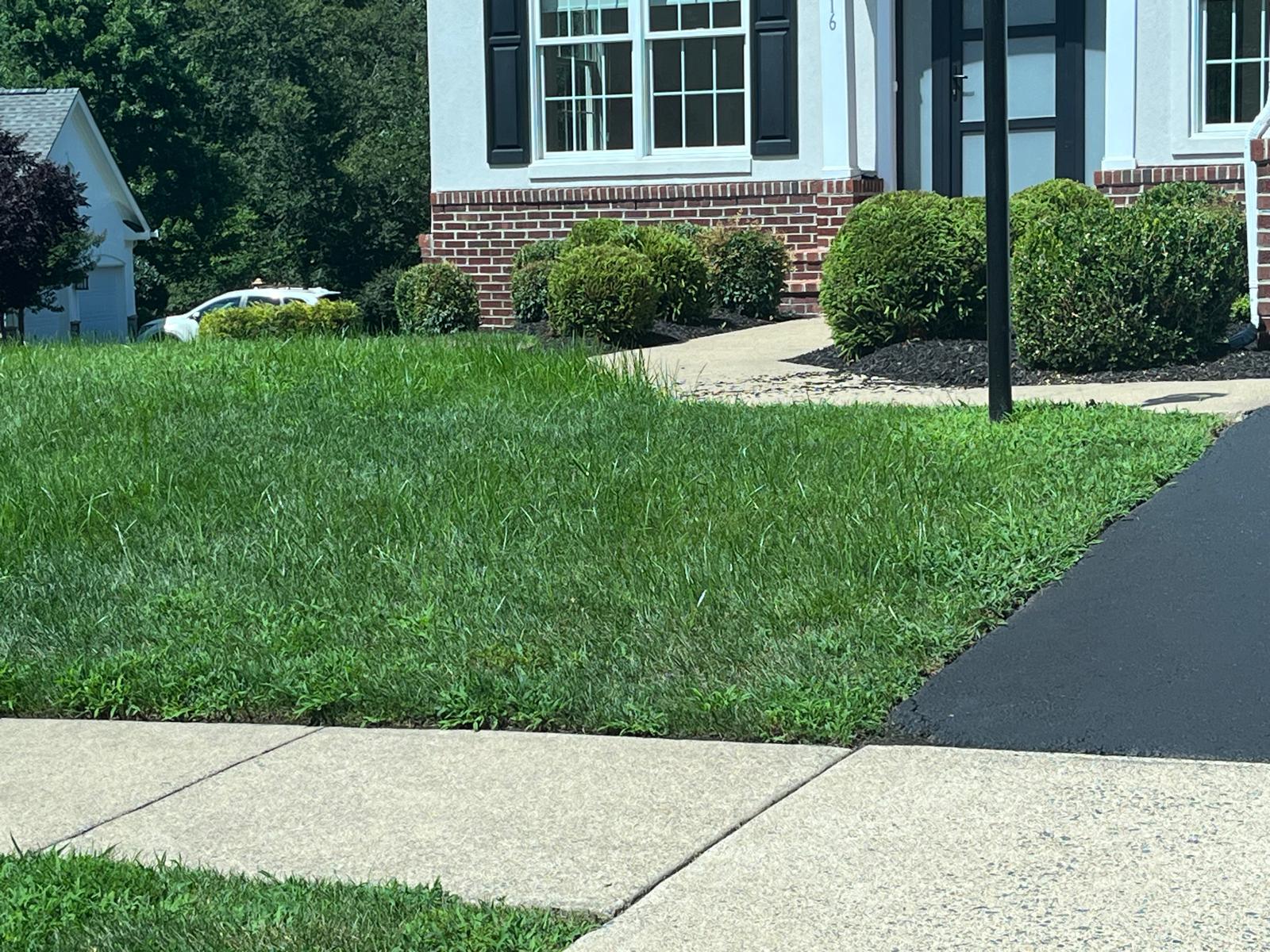 Sterling VA Landscaping