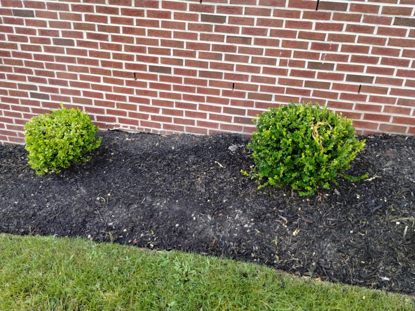 Custom Patio Construction